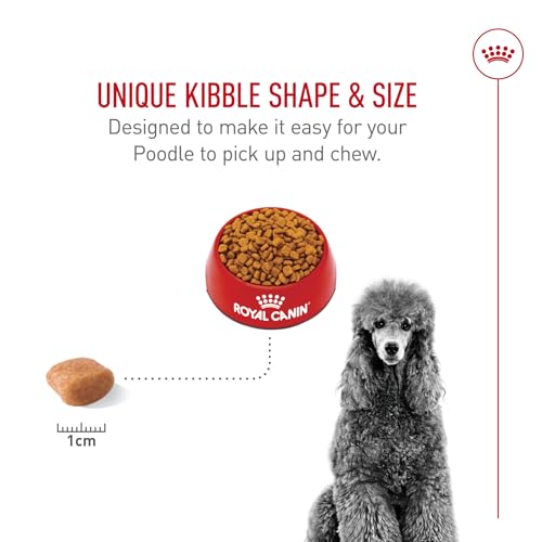 ROYAL CANIN Breed Health Nutrition Poodle Adult Dry Dog Food, 2.5-Pound by Royal Canin