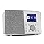 MangoKit MD3 DAB/DAB+ und UKW Tragbares Digitalradio, Bluetooth ...