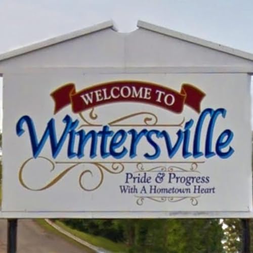 Village of Wintersville Podcast cover art
