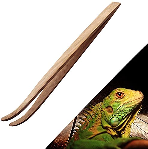 Amazon.co.jp: バンブーピンセット 竹 ピンセット 爬虫類 摂食 餌入れ