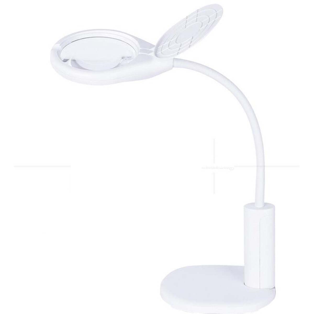 Lampe loupe 6 fois Wisdom grand miroir 108 mm huit LED inspection