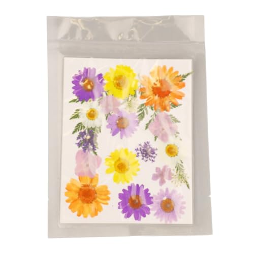 Kit de Flores Prensadas Estilos Variados para Manualidades miniatura 3