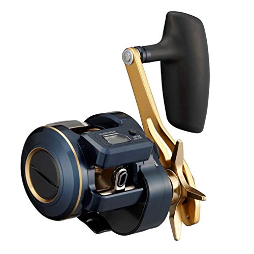 Daiwa 21 Saltiga IC 300HL-SJ : Amazon.ca: Sports & Outdoors