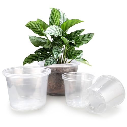 FUOAUYK 7/8/10 Inch Large Clear Nursery Pots with Drainage 9 Pack Plastic Pots for Plants Clear Plant Seedling Pots for Indoor & Outdoor Gardening (7 8 10 inch)
