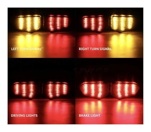 Feu arrière de frein à LED moto pour YZF R6 et XTZ 1200