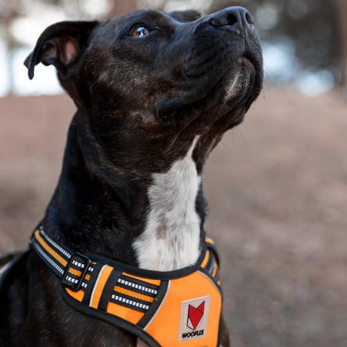 Image of Wooflix Heavy Duty Reflective Dog Harness for Big Sized Breed Dogs - No Pull, No Choke Harness for Dog with Adjustable Chest Belt with Soft Padded Handle | Orange - Size: XL (32kg to 42kg Dog)
