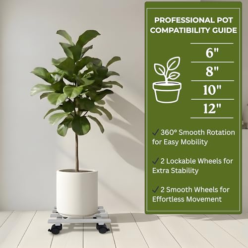 Image of Dolin Decor Stainless Steel Plant Stand Rust Proof Heavy Duty Flower Pot Holder for Indoor Outdoor Balcony Garden - Planter Stand 80kg Capacity12 L x 9 inch W x 4.5 inch H (Silver 104, Set-1)