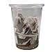 1" Large Adult Banded Crickets (60 Count)