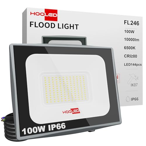 HOOLED Faretti LED per esterni 100w Potenti luci IP65, Luce Bianca Fredda 10000lm Faro a LED, 6500k di sicurezza per terrazza, di sicurezza per terrazza, giardino, parco, patio, garage (100w, 1)