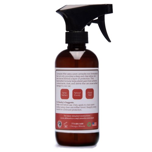 Dr. Beasley's Carnauba Mist - 12 Oz., Protects Car Paint, Fast Application, Deep Gloss Finish #TOP1