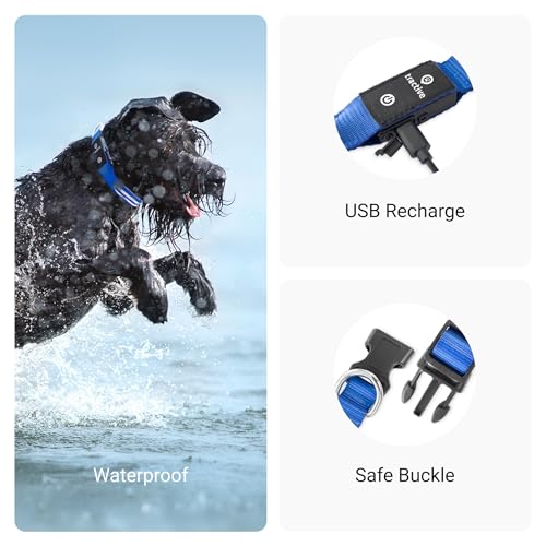Tractive Gps Pet Tracker With Led Light Up Dog Collar thumb #7