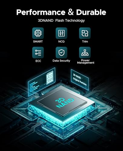 PHIXERO 256 GB mSATA SSD - Snabb 500 MB/s läsning och skrivning