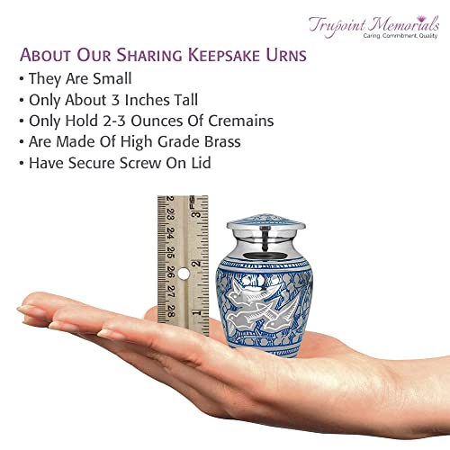 Trupoint Memorials Cremation Urns For Human Ashes - Decorative Urns, Urns For Human Ashes Female & Male, Urns For Ashes Adult Female, Funeral Urns - Blue Silver, 1 Small Keepsake #TOP2