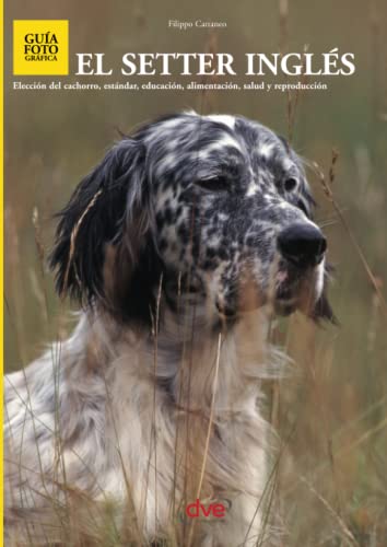 El setter ingl's