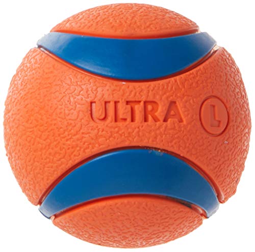Chuckit! Ultra-Bälle, groß, 3 Stück