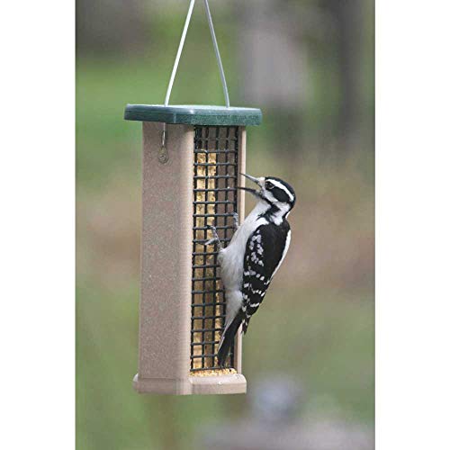 Distributeur de graisse pour oiseaux en métal robuste à base stable premium