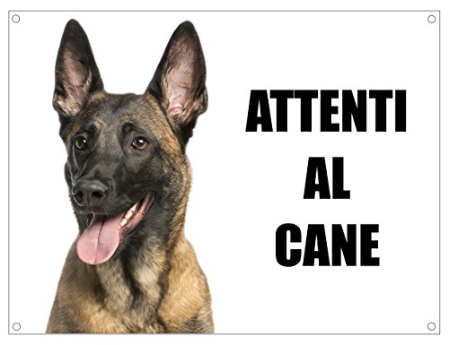 MALIONOIS PASTORE BELGA 2 Attenti al cane morde