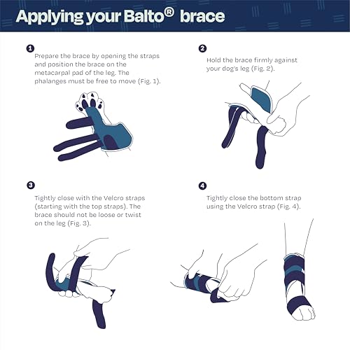 Image of Balto Splint Carpal /Tarsal Brace- Hyperextension Dog Brace with Aluminum Splint - Supports Fractures and Sprains - Leg Support (Large)