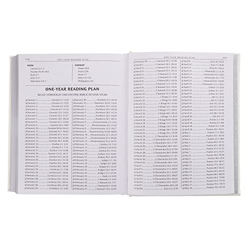 Image of KJV Holy Bible, Classically Illustrated Heirloom Family Bible, Faux Leather Hardcover - Ribbon Markers, King James Version, White /Silver (KJV Family Editions)
