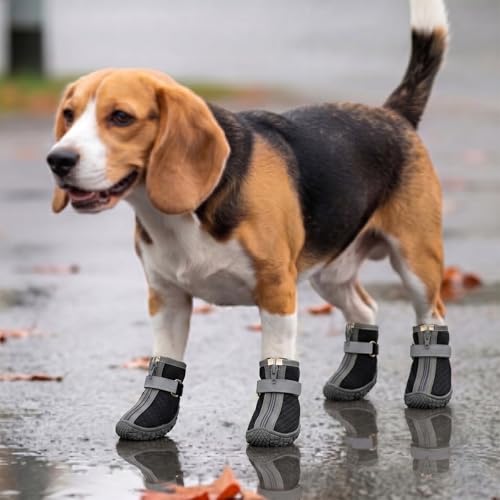 Atmungsaktive Hundeschuhe 4 Stück, Hundestiefel mit Reflektierendem Band und Rutschfester TPR-Sohle, Pfotenschutz für tägliche Spaziergänge für Kleine Hunde (Schwarz, 3)