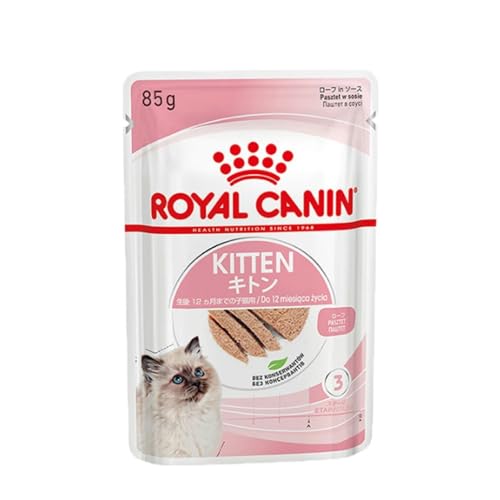 CJi Lbgt[h tB[C wX j[gV EFbg Lg [t 85g × 12Zbg i12܂ł̐̎qLpj