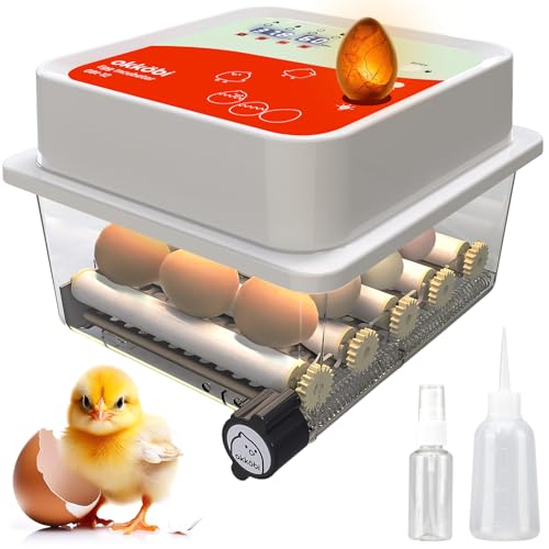Okköbi OBI-12 Couveuse Automatique – Incubateur à œufs pour 12 œufs avec Retournement Automatique - Couveuse Poule pour œufs de Poule, Caille et Canard - Orange