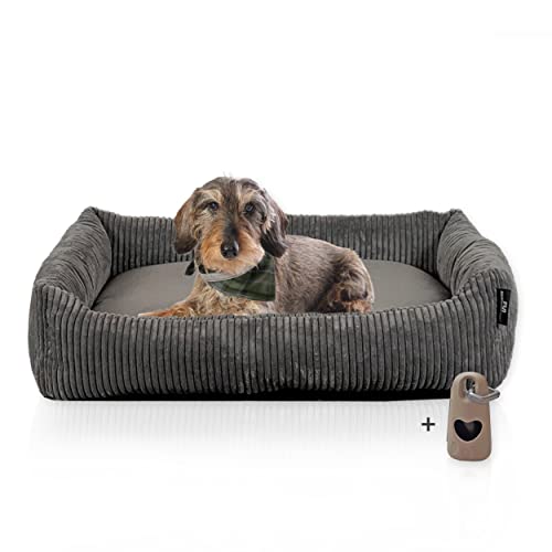 Rohrschneider Hundebett waschbar für kleine und mittelgroße Hunde mit Hundekissen Cord grau (ca. 70x50 cm) inkl. Gassibeutel