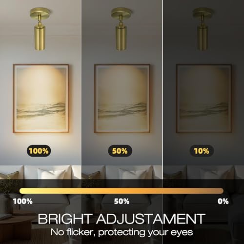 Brass Ceiling Spotlight, Hardwired LED Ceiling Spot Lights, Flush Mounted Directional Ceiling Light, Indoor Spotlight Fixtures, Adjustable Monopoint Spot Lights for Living Room Dining Room