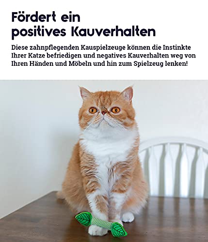 Petstages Fresh Breath Mint Stick - Zahnpflege-Kauspielzeug für Katzen - mit Minze