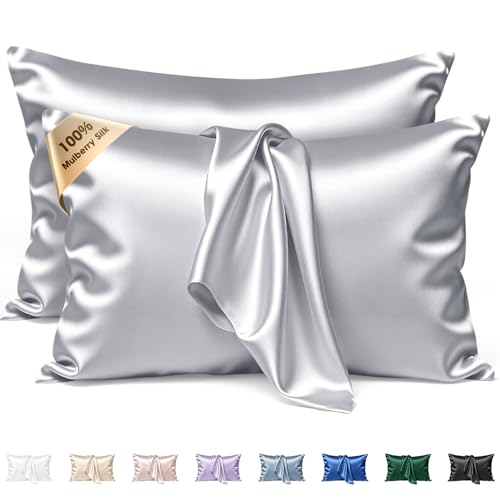 Silk Pillow Cases 2 Pack Queen Size Gray