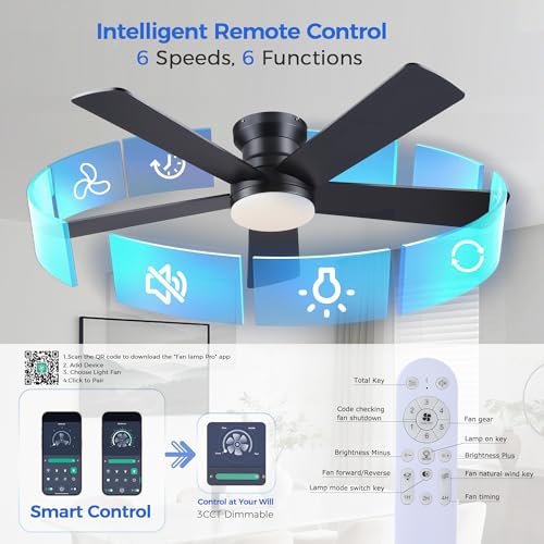 Ayaoty Ceiling Fans with Lights - 48 Black Flush Mount Ceiling Fan Light with 6 Speeds 3CCT Dimmable, Revesible Motor, Low Profile Fan Light for Modern Indoor Bedroom, Kitchen