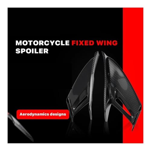 Aileron avant fixe carbone pour S1000 RR 2015 2016 2017 2018