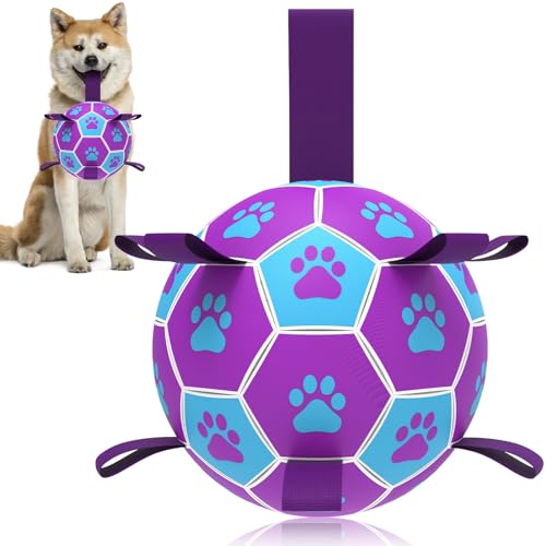 HETOO Hundeball Hundespielzeug Ball mit Griff für Hund Interaktives Schleppen von Krieg Wasser Hundebälle Spielzeug Geburtstagsgeschenk für Mittel/Große Hunde (6 Zoll Lila Blau)