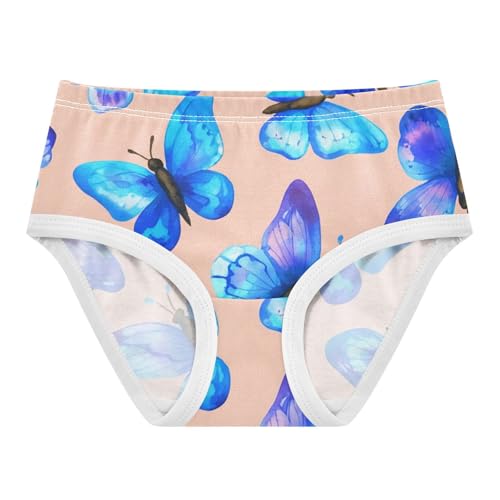 Girls Underwear Toddlers 2t Cotton Panties Little Girl Fancy Undies Kids Briefs Blue Butterflies Peach
