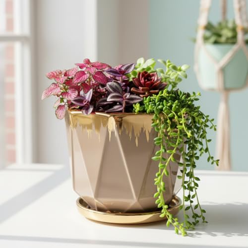 Image of Xtore Elegant Faceted Ceramic Planter with Metallic Rim & Drain Tray | Contemporary Decorative Pot for Living Room, Desk & Balcony Styling (Pack of 1, Planter only)