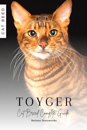  Toyger: Cat Breed Complete Guide