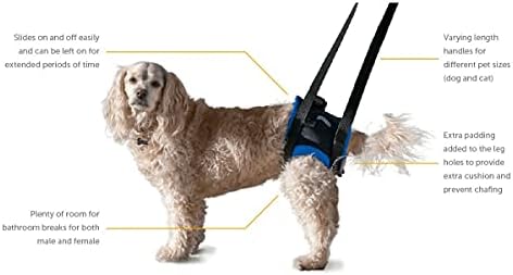 walkabout back end harness