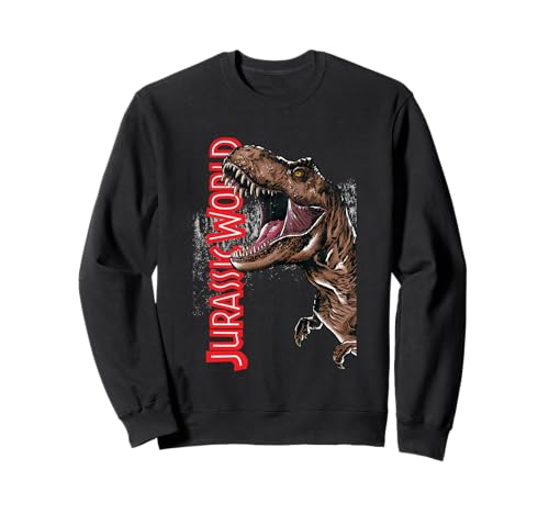 Sweatshirt Jurassic World Dominion dinosaure T-Rex poster pull homme et femme