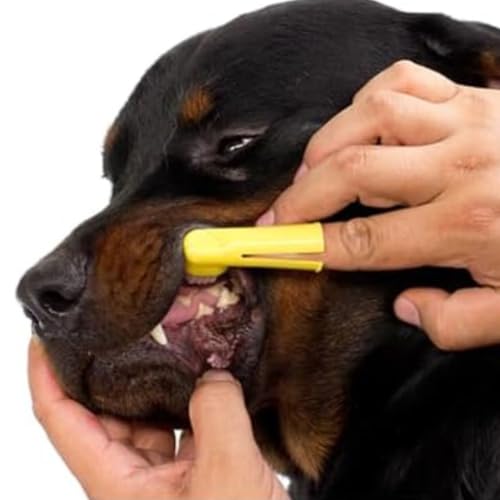 TOOTHBRUSH KIT ESCOVA DENTE PET 3 Escovas de Dente para Cachorro Gato Dedal Higiene Pet