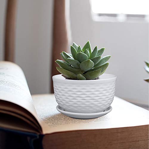 Ufrount White Ceramic Planter Pot with Drainage Holes, Succulent Planter Pots Planting Pot Flower Pots for Mini Plant Perfect for Garden, Kitchen, Windowsill - Set of 3 (3 Sizes) - Thumbnail 7