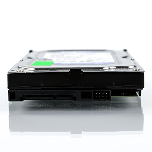 WD WD3200AAKX Blu Hard Disk Desktop da 320 GB, 7200 RPM, SATA 6 GB/s, 16 MB Cache, 3.5 " - Hdd - Immagine 2