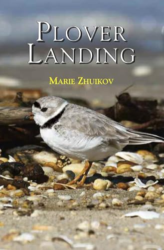 Plover Landing view 2