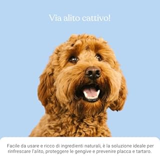 Bàu Dentifricio Spray per Cani, Pulizia Denti Cane Profonda, Spray Alito Cane Sgradevole, Previene Tartaro, Dentifricio per Cani Arricchito con Menta ed estratti di Tè Verde - 100 ml