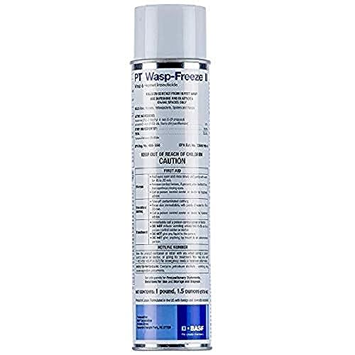 Best Wasp Spray Reviews Best products for killing wasps and