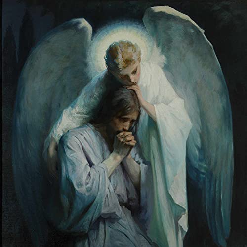 Reflection 27 - Trials Transformed Into Virtue