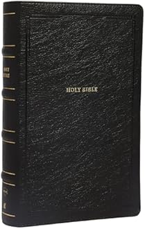 NKJV, End-of-Verse Reference Bible, Personal Size Large Print, Leathersoft, Black, Red Letter, Comfort Print: Holy Bible, New King James Version (9 x 6 x 1.5 inches)