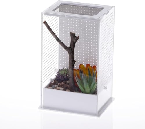 J}LP[X AN ώ@P[XeE i  ^ ʋC Eh~ {bNX J}LB{bNX ঒ގ{bNX (12x10x20)