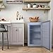 Conserv 3cf Compact Garage Ready Upright Freezer REVERSIBLE DOOR Freestanding 110V