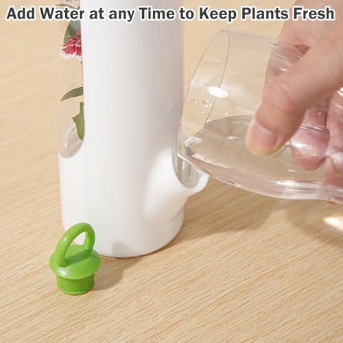 Contenitori Ermetici per Alimenti,Custode di Erbe