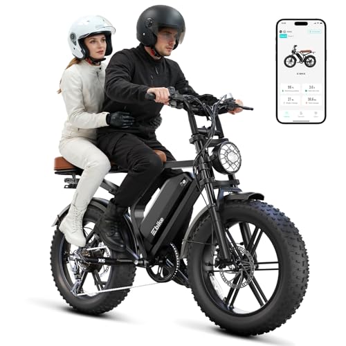TS TST Retro Fat Tire Ebike